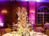 Reception Table Centerpiece with Manzanita and Raining Orchids