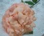 Duchess rose bridal bouquet