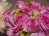 pink-rose-bridesmaids-bouquet