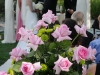 pink-rose-wedding