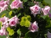 pink-roses-and-green-mums-at-back-of-the-aisle