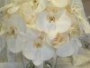 Phalanopsis orchid and rose bouquet