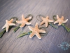 Starfish with Loop of Bear Grass Boutonniere