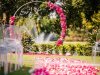 circulr-arch-w-flowersa-nd-rose-petals-in-a-patter-down-the-aisle