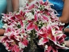 bridesmaids-bouquet in pink and white