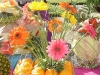 Cneterpiece of gerbera daisies and oranges in glass cube