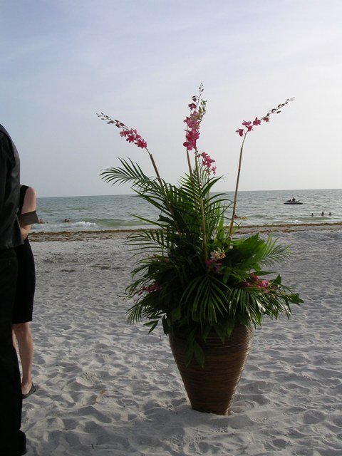 palms-and-orchids-on-beach