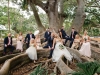 Wedding Party Under Banyan Trees