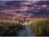 Gorgeous Sunset with seagrass and couple