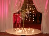 place-card-table-at-ritz-with-branches