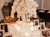 Place card table with phalaenopsis